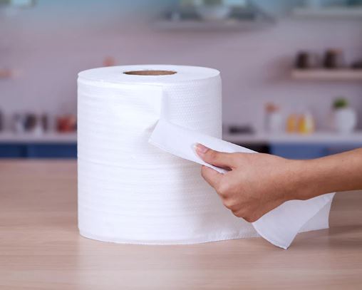 MAXI Roll 500 sheets(2ply)