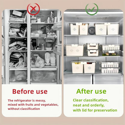 Fruit Storage Container for Fridge