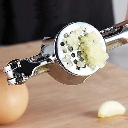 stainless steel garlic chopper