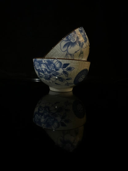 Colored Porcelain Bowls (Styl-20)