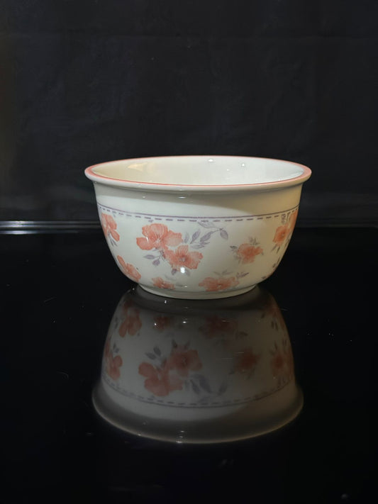 Colored Porcelain Bowls (Styl-23)