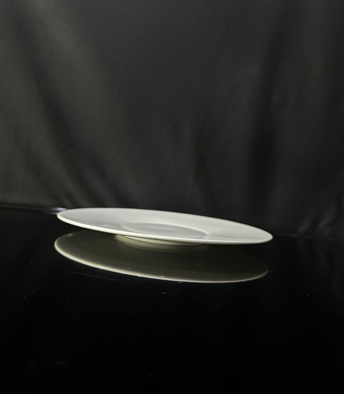 Premium Dining plate styl3