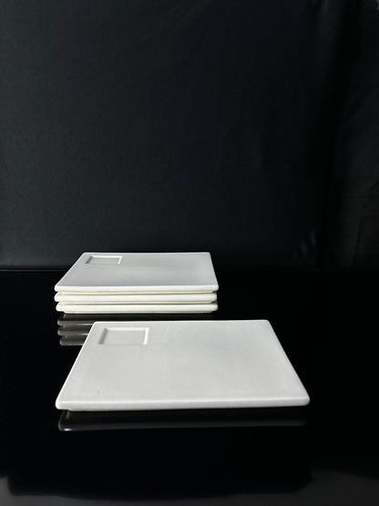 Rectangle Bright White Porcelain Flat Plate styl1