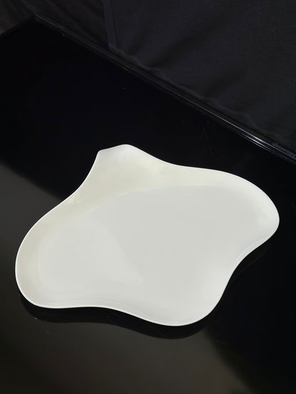 Stylish Oval Bright White Porcelain Serving Plate