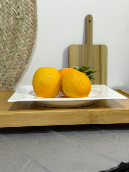 Large Rectangle Porcelian serving plate