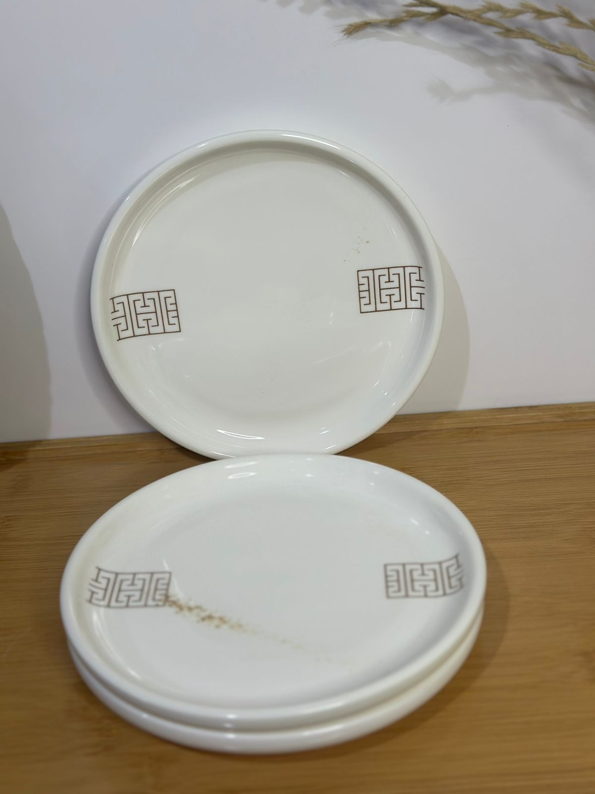 Premium Porcelain Plates – Set of 3 with Minor Defects (Read Description)styl3