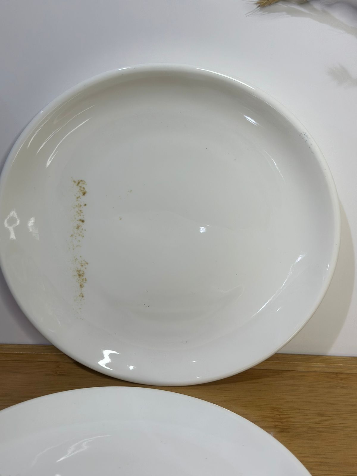 Premium Porcelain Plates – Set of 3 with Minor Defects (Read Description)styl2