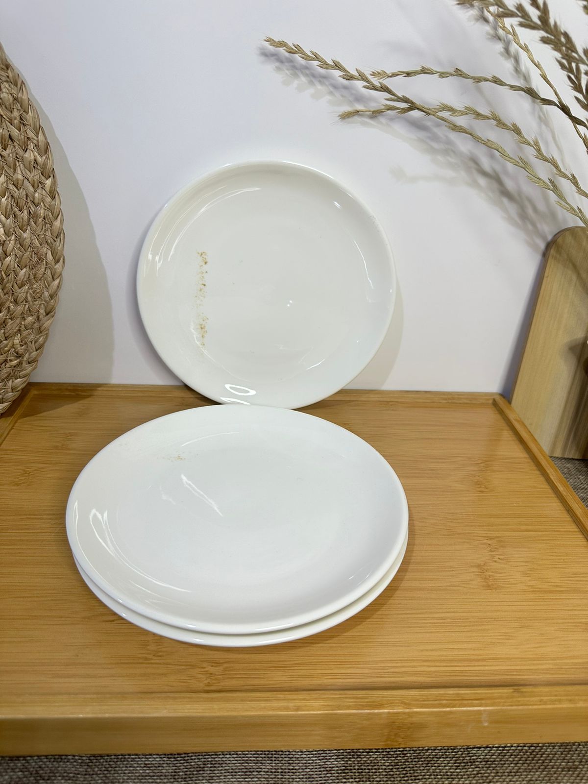 Premium Porcelain Plates – Set of 3 with Minor Defects (Read Description)styl2