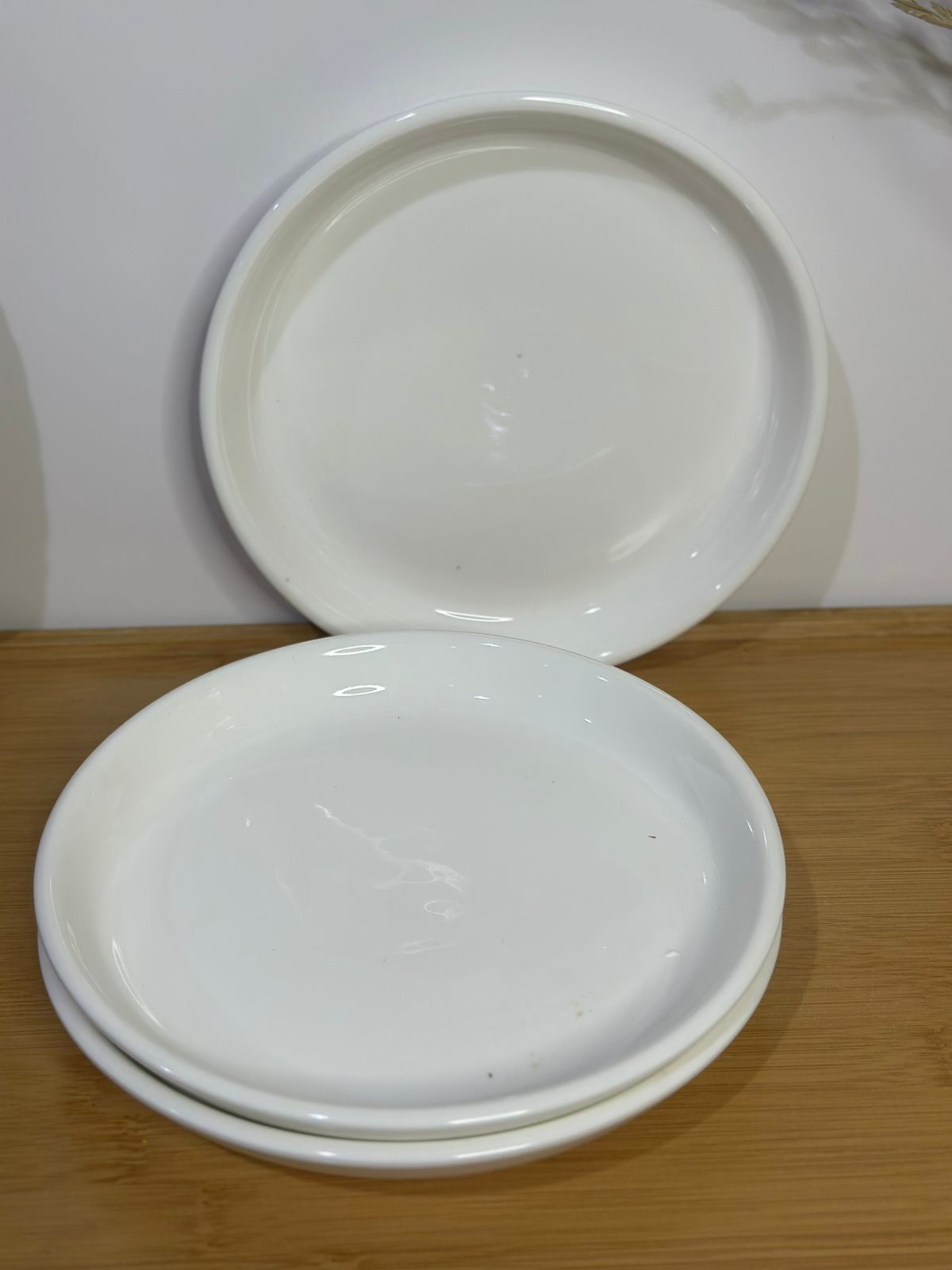 Premium Porcelain Plates – Set of 3 with Minor Defects (Read Description)styl4