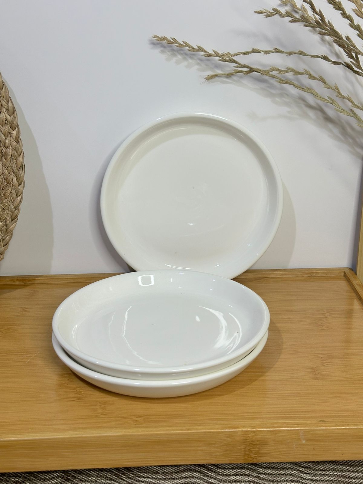 Premium Porcelain Plates – Set of 3 with Minor Defects (Read Description)styl4