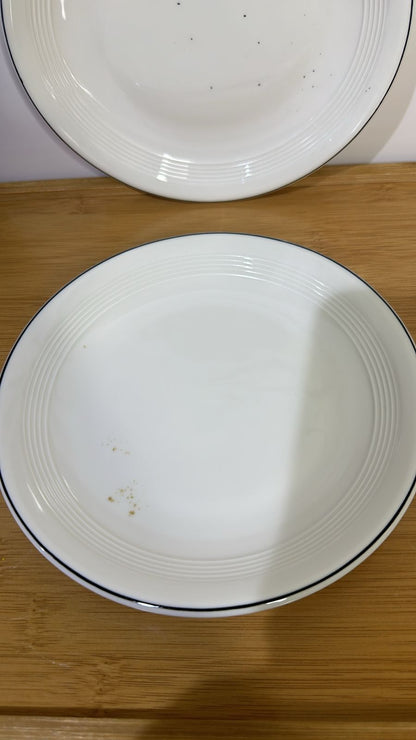 Premium Porcelain Plates – with Minor Defects (Read Description)styl7