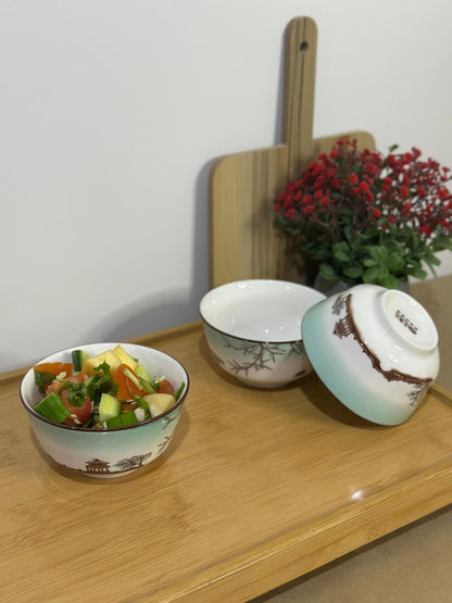 Colored Porcelain Bowls (Styl-55)