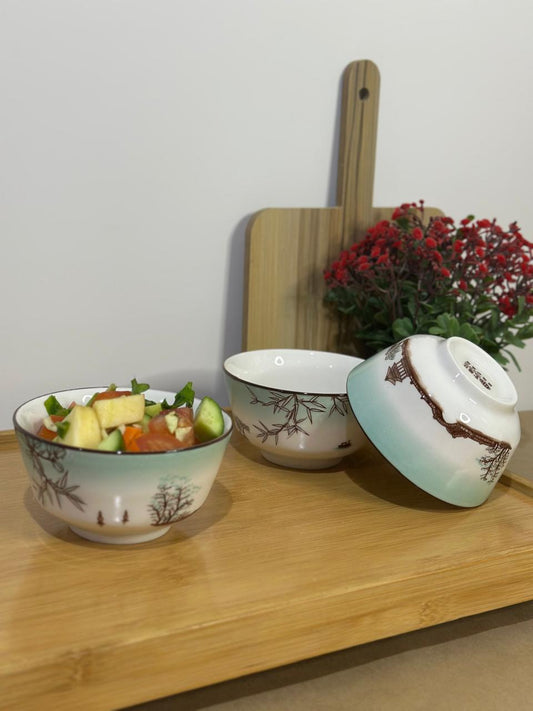 Colored Porcelain Bowls (Styl-55)