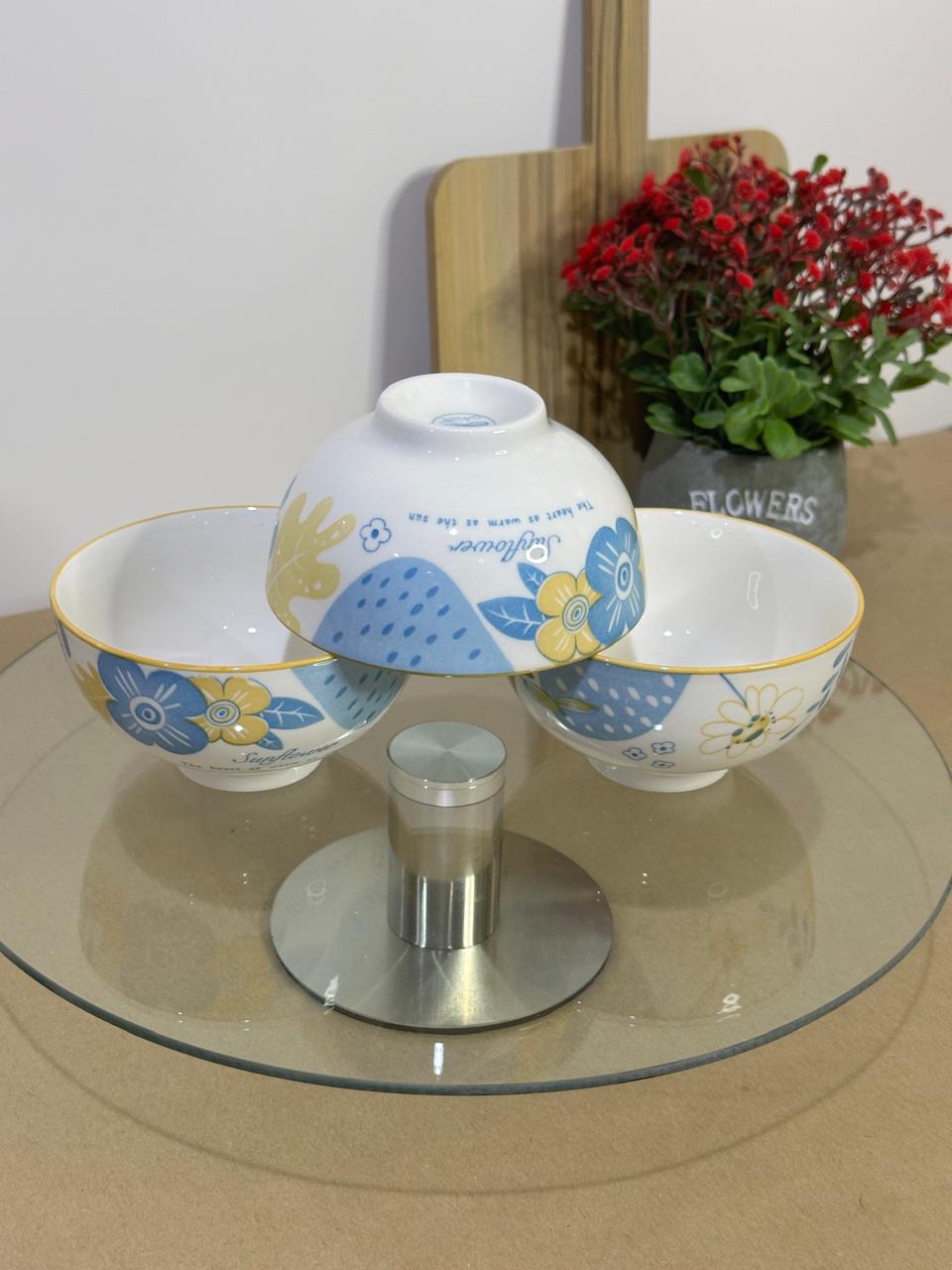 Colored Porcelain Bowls (Styl-68)