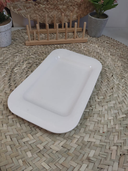 Luxury Large Rectangular Serving Porcelain Plate styl2