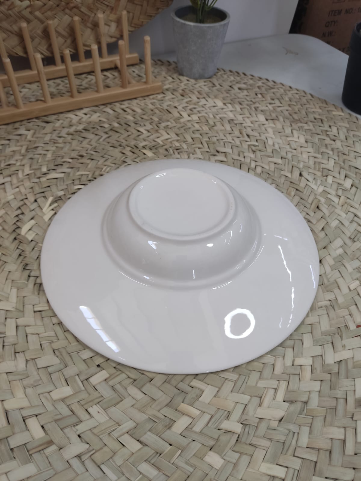 Luxury Porcelain Pasta Plate