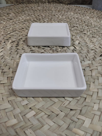 Small Rectangle Porcelain Serving Nuts Plate