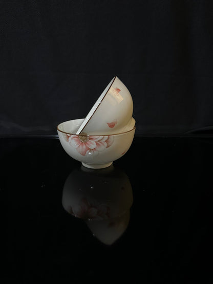 Colored Porcelain Bowls (Styl-16)